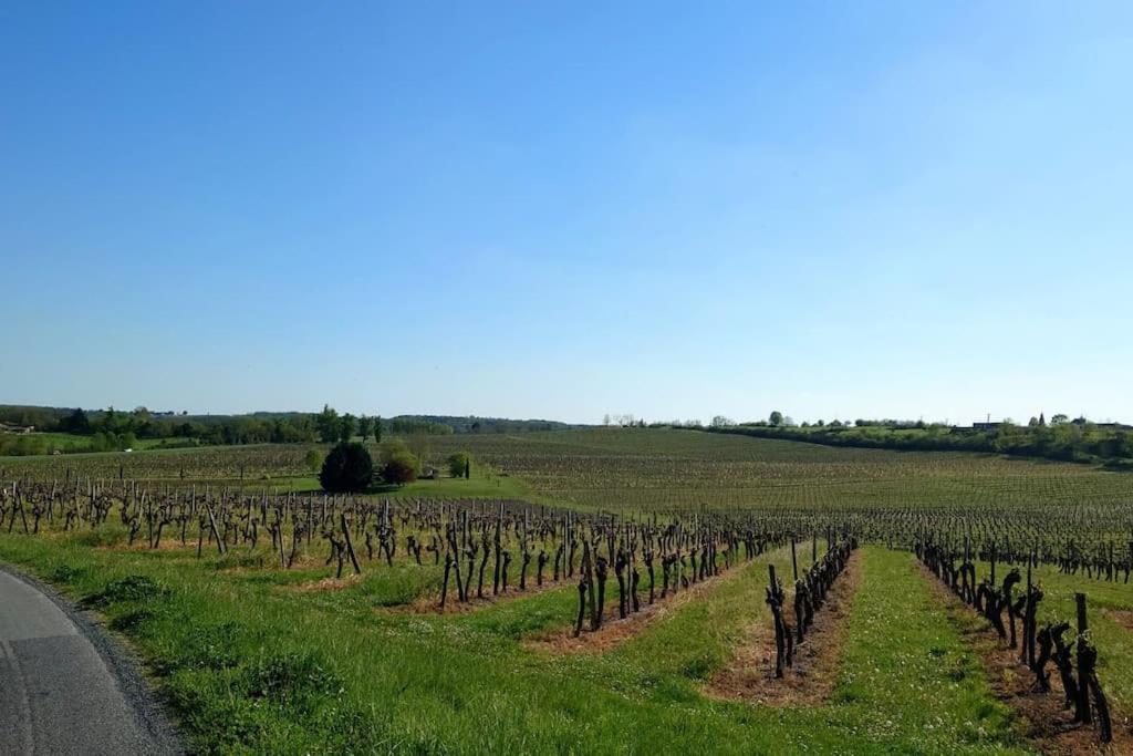 Entre Pierre Et Vigne - Charming Former Winery Farmhouse With Hot Tub & Swimming Pool Монестье Экстерьер фото